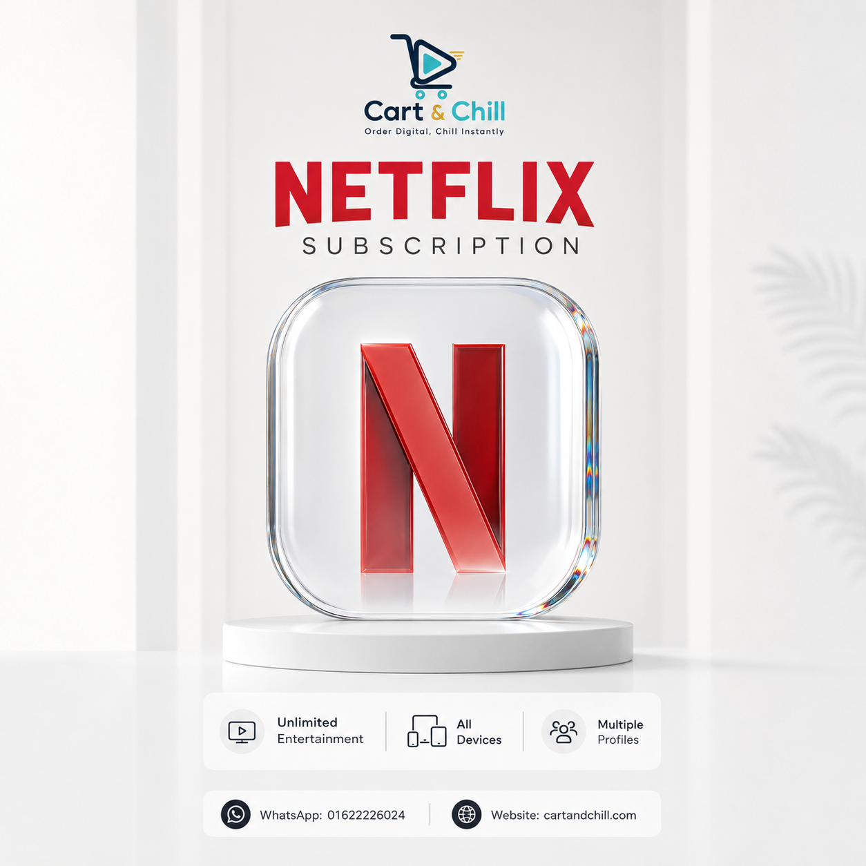Netflix Subscription