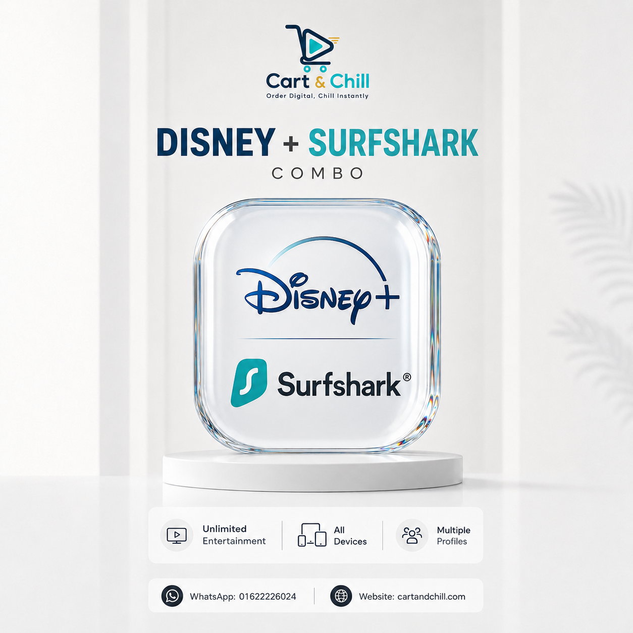Disney Plus & Surfshark Combo